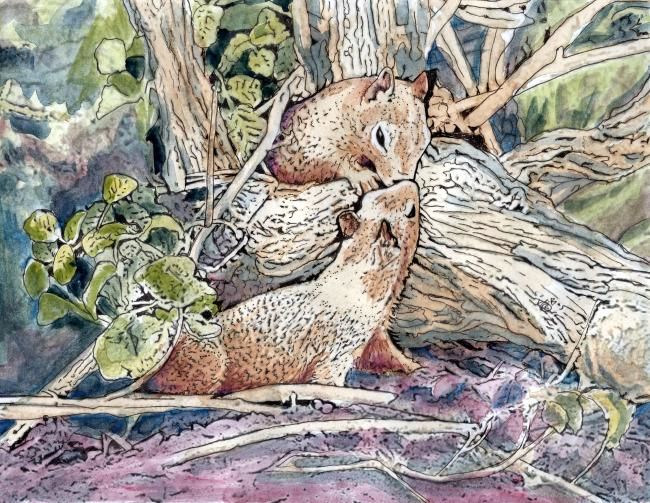Peinture intitulée "Kissing Squirrels" par J D Bluehorse, Œuvre d'art originale