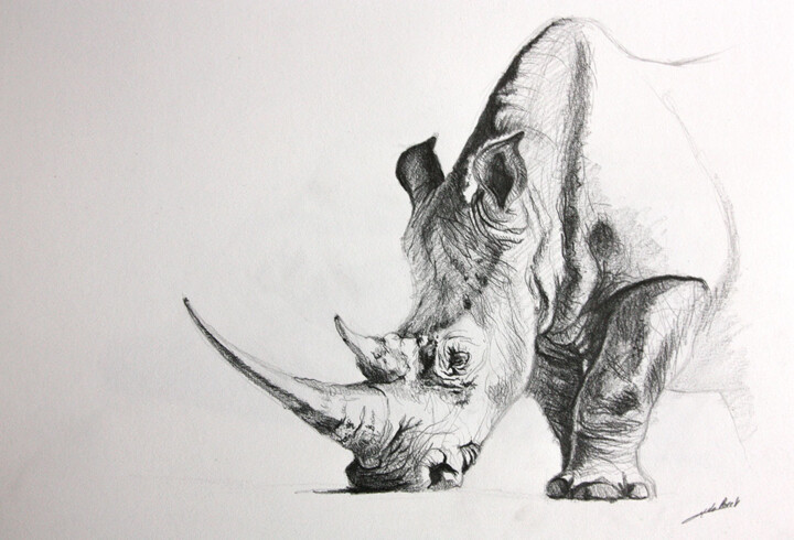 Drawing titled "Dessin rhinocéros" by Jean-Baptiste De Poret, Original Artwork, Other