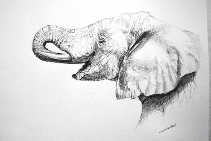 Dessin intitulée "Elephant" par Jean-Baptiste De Poret, Œuvre d'art originale, Autre