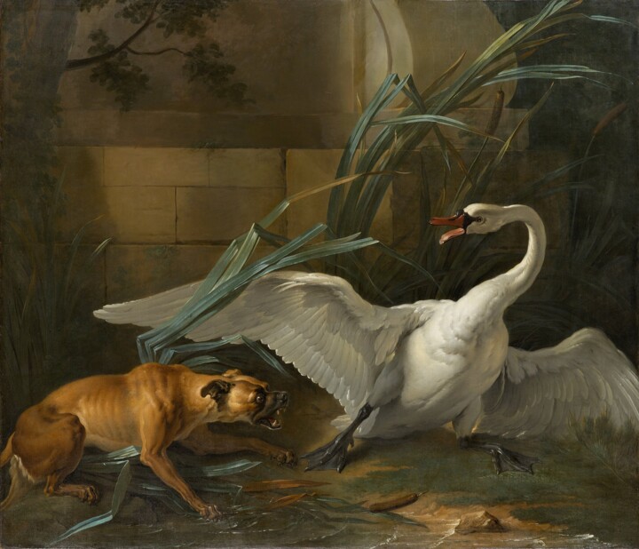 "Cygne attaqué par u…" başlıklı Tablo Jean-Baptiste Oudry tarafından, Orijinal sanat, Petrol