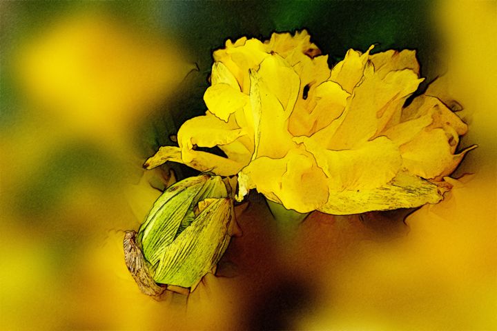 Photographie intitulée "Jonquilles 1" par Imagelys Photographie, Œuvre d'art originale, Photographie numérique