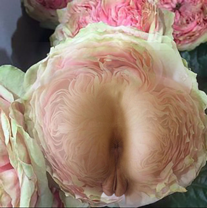 Photographie intitulée "Fesses magnolia" par Jean-Christian Belcourt, Œuvre d'art originale, Photographie manipulée