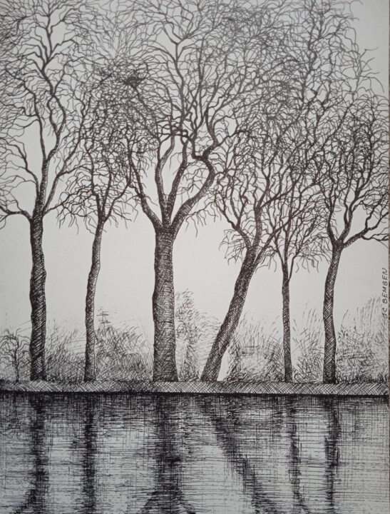Drawing titled "Le nid près du canal" by Jean-Claude Bemben, Original Artwork, Ink