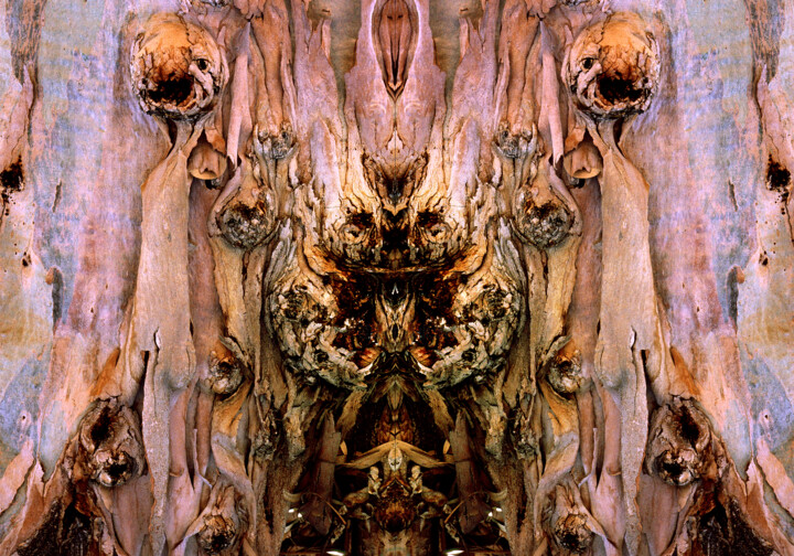 Photography titled "Décors d'eucalyptus" by Jean-Claude Mathier, Original Artwork, Digital Photography