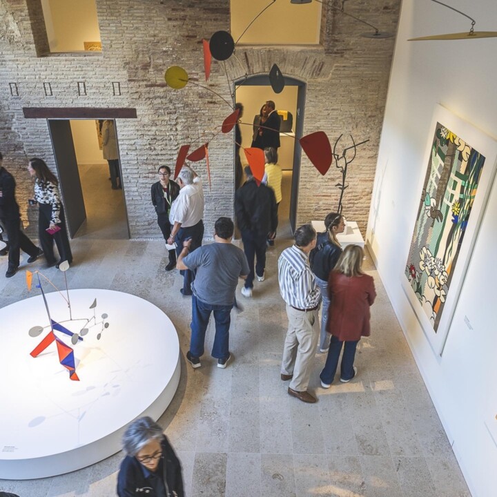 Valencias Palacio Valeriola verwandelt sich als Centro de Arte Hortensia Herrero in ein künstlerisches Zentrum