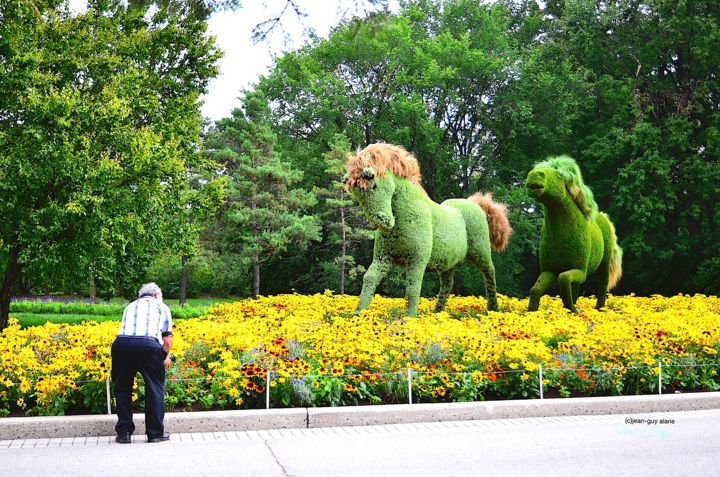 Photography titled "Les mosaïcultures d…" by Jean-Guy Alarie, Original Artwork, Non Manipulated Photography
