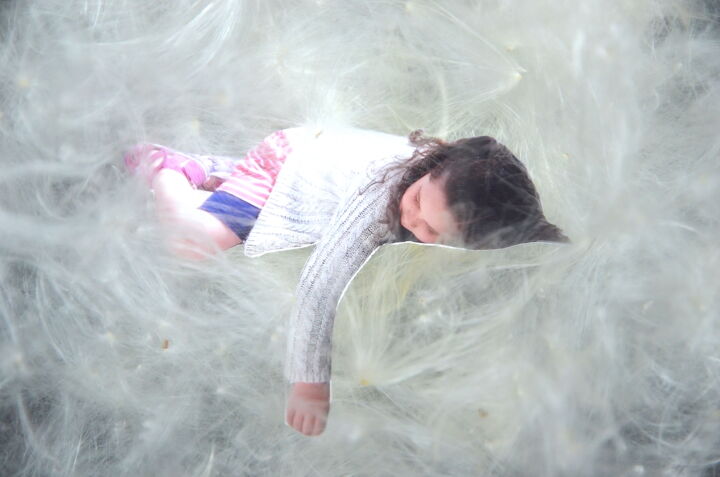 Photographie intitulée "...au bois dormant." par Jean-Guy Alarie, Œuvre d'art originale, Photographie non manipulée