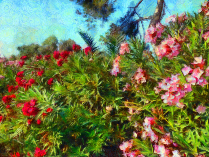 Photographie intitulée "Lauriers rose et ro…" par Jean-Louis Bouzou, Œuvre d'art originale, Photographie numérique