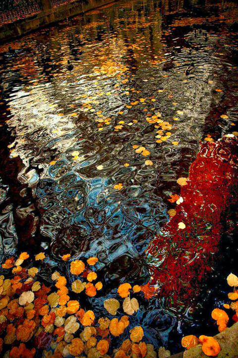 Photographie intitulée "Automne au jardin" par Jean Louis Giudicelli, Œuvre d'art originale, Photographie numérique