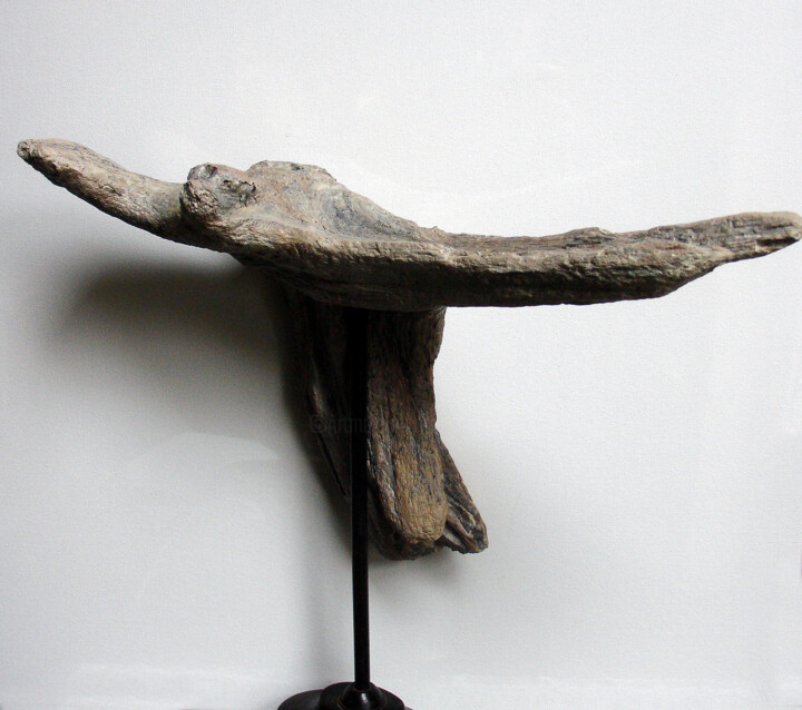 Sculpture titled "envol de la raie" by Jean Louis Renaudin, Original Artwork, Wood