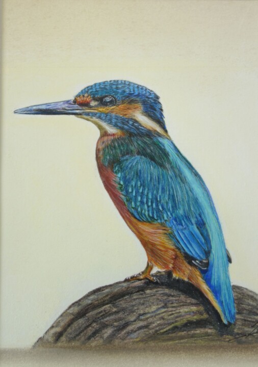 Drawing titled "martin-pêcheur" by Jean-Louis Silvestri, Original Artwork, Pastel