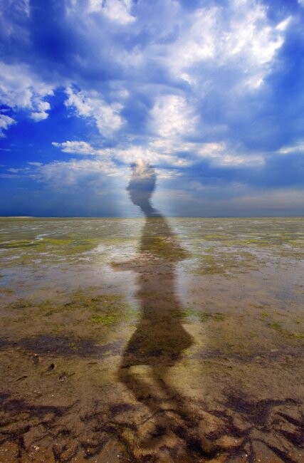 Fotografia intitolato "LA TETE DANS LES NU…" da Jean-Luc Bohin, Opera d'arte originale