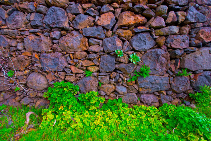 Fotografia zatytułowany „THE WALL” autorstwa Jean-Luc Bohin, Oryginalna praca