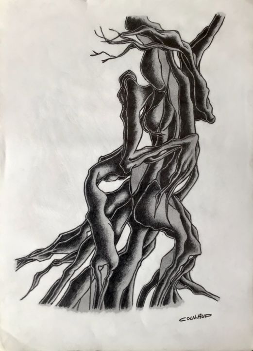 Dessin intitulée "Étude arbrologique 7" par Jean-Luc Coulaud, Œuvre d'art originale, Crayon