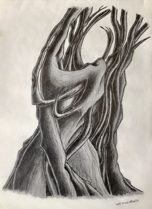 Drawing titled "Étude arbrologique…" by Jean-Luc Coulaud, Original Artwork, Pencil