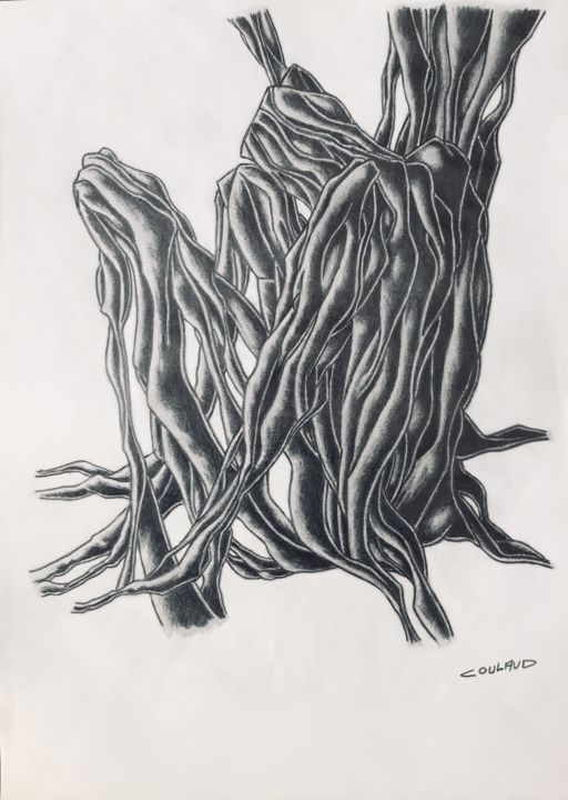 Σχέδιο με τίτλο "Étude arbrologique…" από Jean-Luc Coulaud, Αυθεντικά έργα τέχνης, Μολύβι