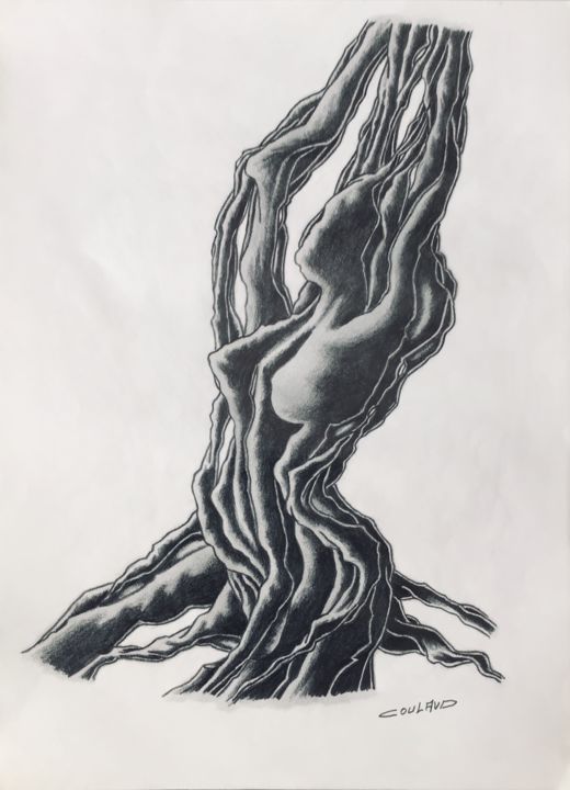 Dessin intitulée "Étude arbrologique…" par Jean-Luc Coulaud, Œuvre d'art originale, Crayon