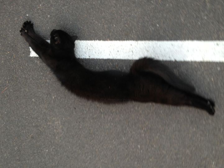 Photographie intitulée "Chat Noir et Ligne…" par Jean-Luc Perrault, Œuvre d'art originale, Photographie numérique