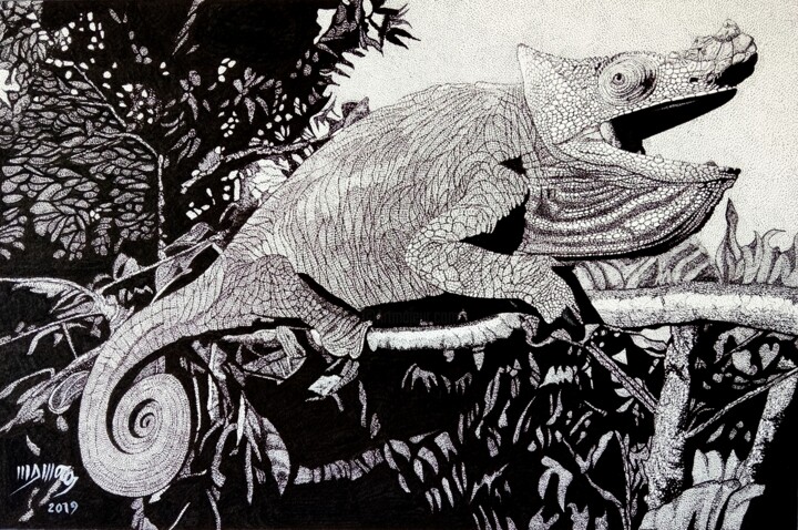 Drawing titled "Caméléon Bouche Ouv…" by Jean-Marie Amoros, Original Artwork, Ink