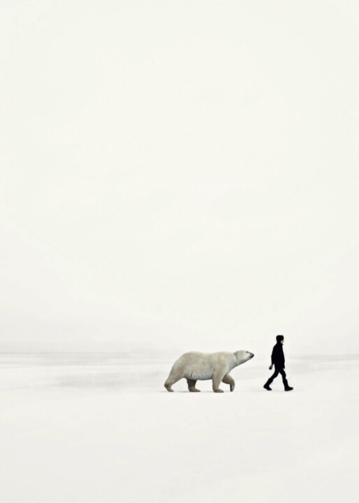 Digital Arts titled "Arctic" by Jean-Marie Gitard (Mr STRANGE), Original Artwork, Photo Montage Mounted on Wood Stretcher fr…