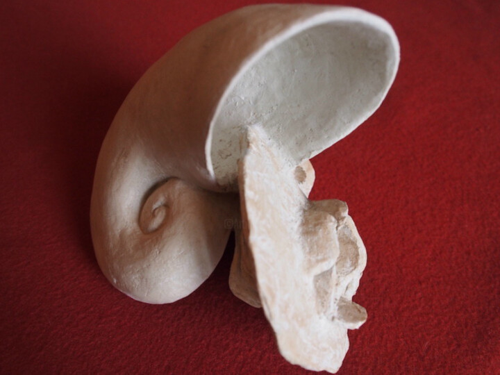 Sculpture titled "Nautile & Rose des…" by Jean-Marie Gleizes, Original Artwork, Clay