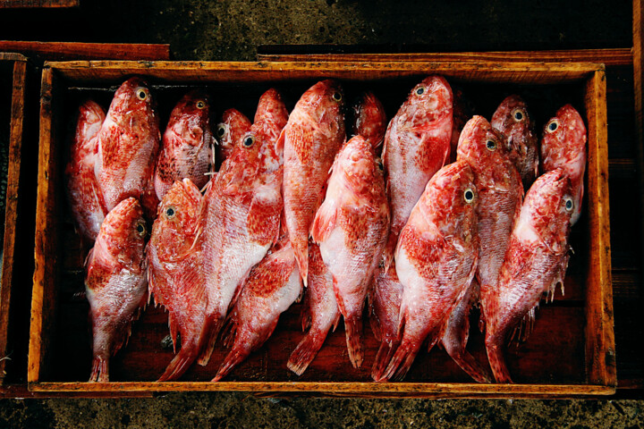 Photography titled "Poissons #2, Busan,…" by Jean-Marie Virat, Original Artwork, Analog photography