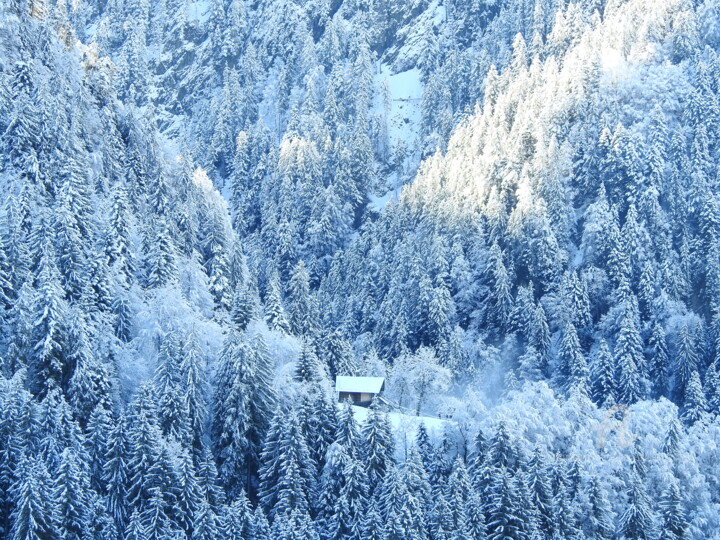 Photography titled "Dans la neige" by Jean-Michel Liewig, Original Artwork