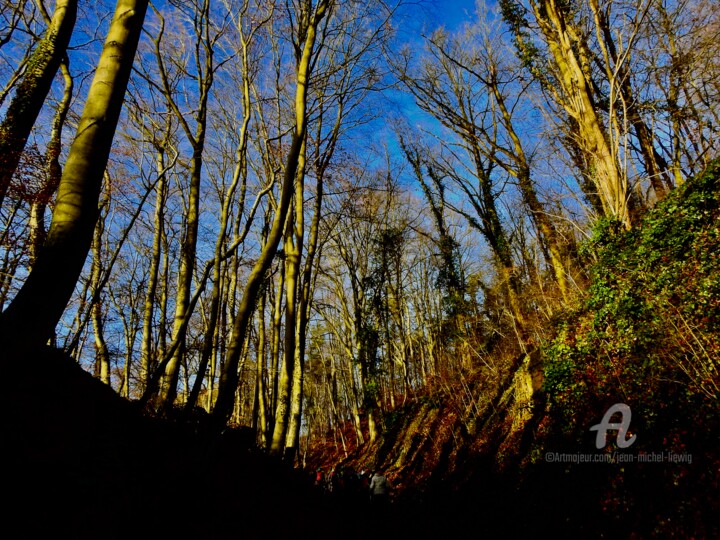 Photographie intitulée "Goulet boisé" par Jean-Michel Liewig, Œuvre d'art originale