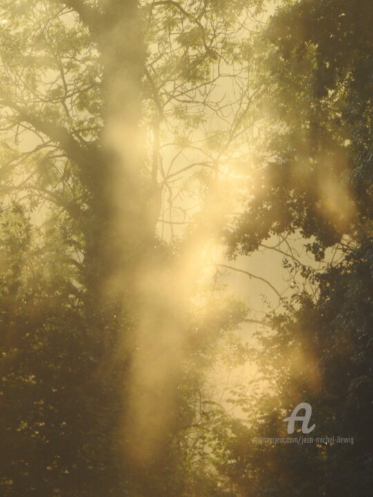 Photographie intitulée "Brume dorée" par Jean-Michel Liewig, Œuvre d'art originale, Photographie non manipulée