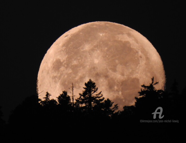Fotografie mit dem Titel "La lune dans la for…" von Jean-Michel Liewig, Original-Kunstwerk, Nicht bearbeitete Fotografie