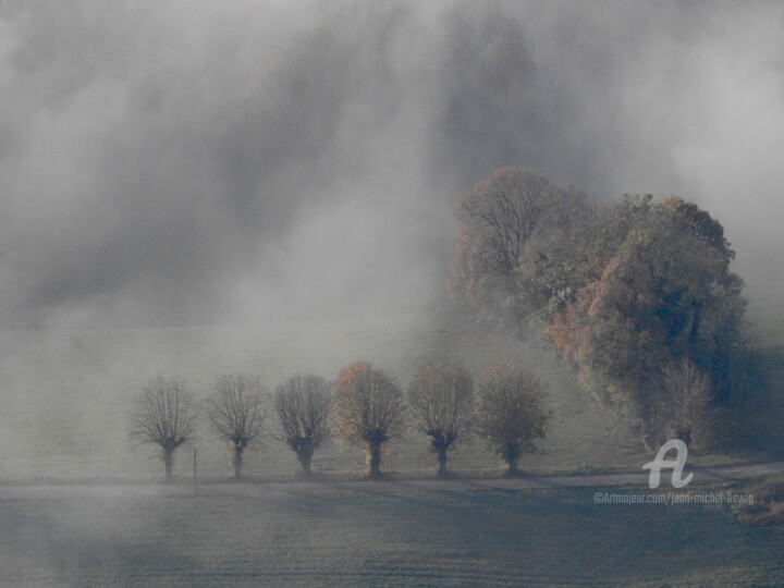Photographie intitulée "Six petits arbres" par Jean-Michel Liewig, Œuvre d'art originale, Photographie non manipulée