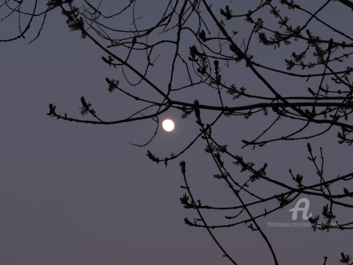 Photographie intitulée "Au clair de la lune" par Jean-Michel Liewig, Œuvre d'art originale