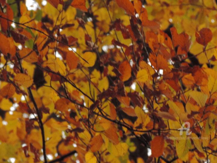 Photographie intitulée "Couleurs d'automne" par Jean-Michel Liewig, Œuvre d'art originale