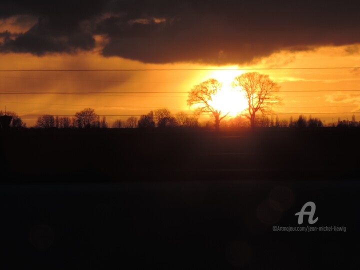 Photography titled "Feux d'arbres" by Jean-Michel Liewig, Original Artwork