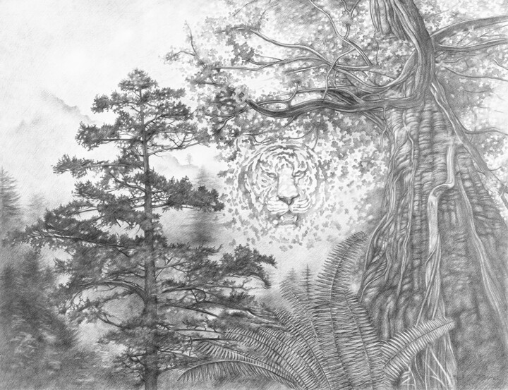 Drawing titled "La Vallée du Tigre" by Jean Paul Boyer, Original Artwork, Pencil