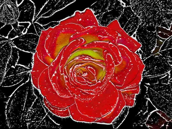 Digitale Kunst mit dem Titel "rose-148" von Jean-Paul Martin, Original-Kunstwerk, 2D digitale Arbeit