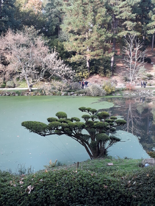 Fotografie mit dem Titel "jardin-japonais.jpg" von Jean-Pierre Duquaire, Original-Kunstwerk