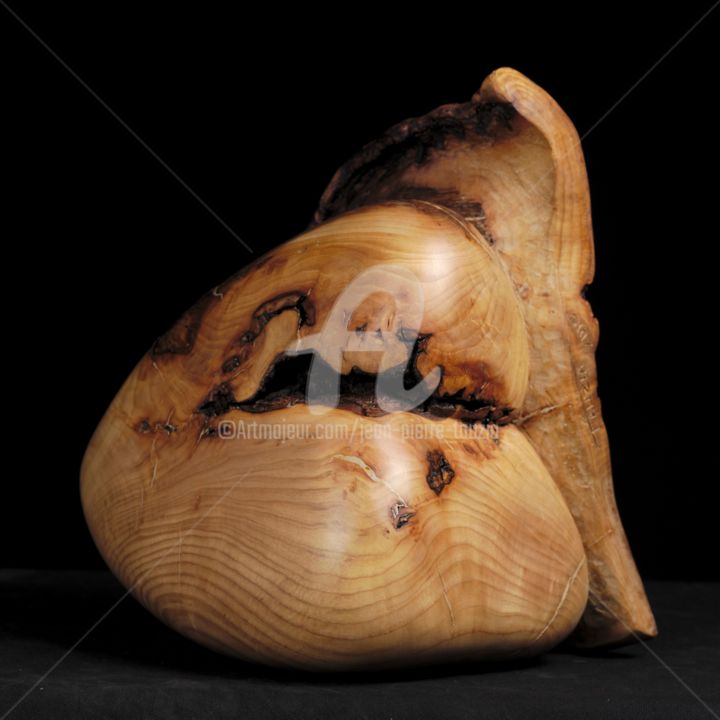 Skulptur mit dem Titel "Rupture.jpg" von Jean-Pierre Tauzia, Original-Kunstwerk, Holz