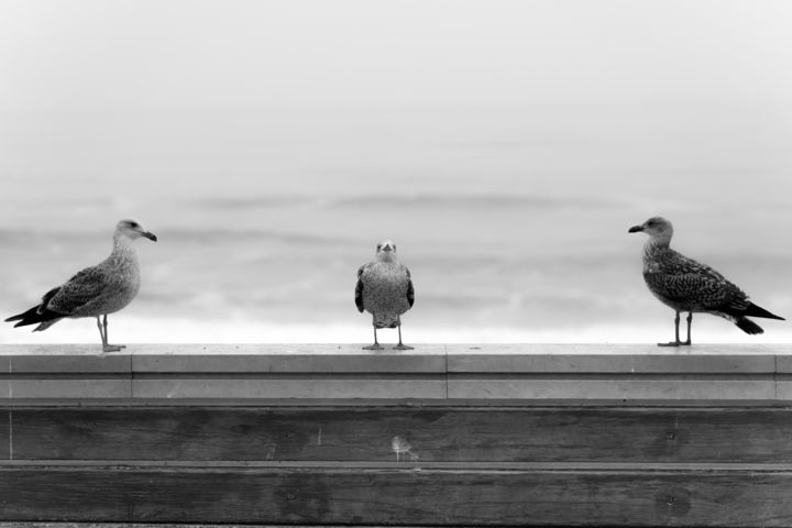 Fotografie getiteld "noces océanes 3" door Jean Reynès, Origineel Kunstwerk