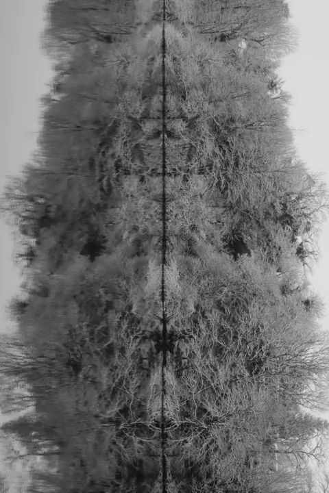 Fotografia intitolato "Totem d'hiver" da Jrlonghi Photographie, Opera d'arte originale