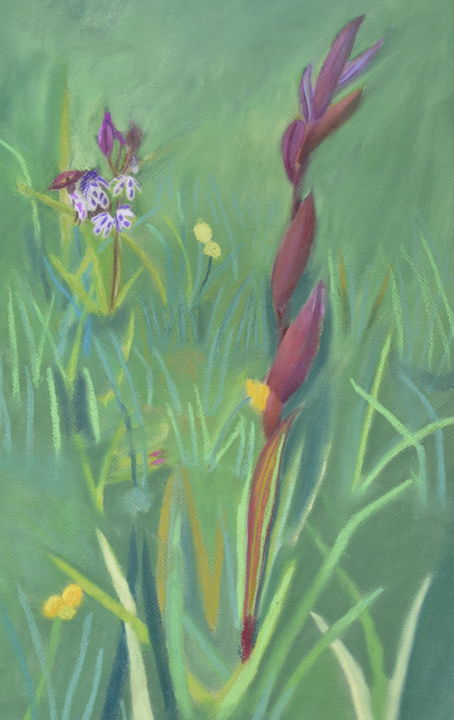 Painting titled "Orchidées" by Jean Seunes, Original Artwork, Pastel