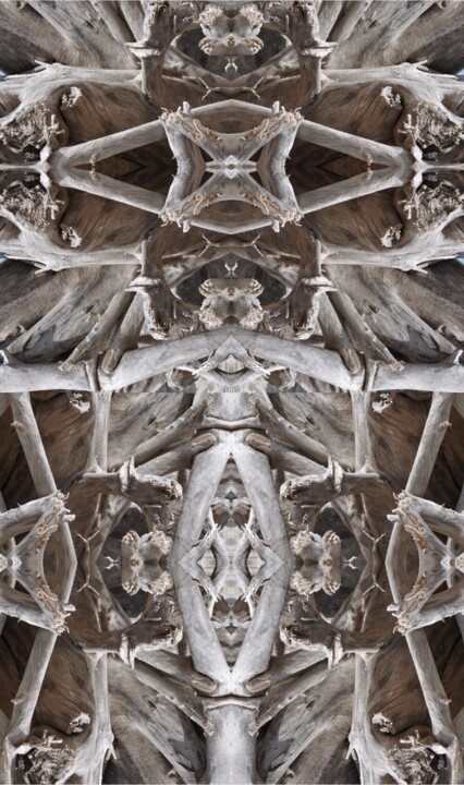 Photographie intitulée "La mante religieuse" par Jean-Thomas Bédard, Œuvre d'art originale, Photographie numérique