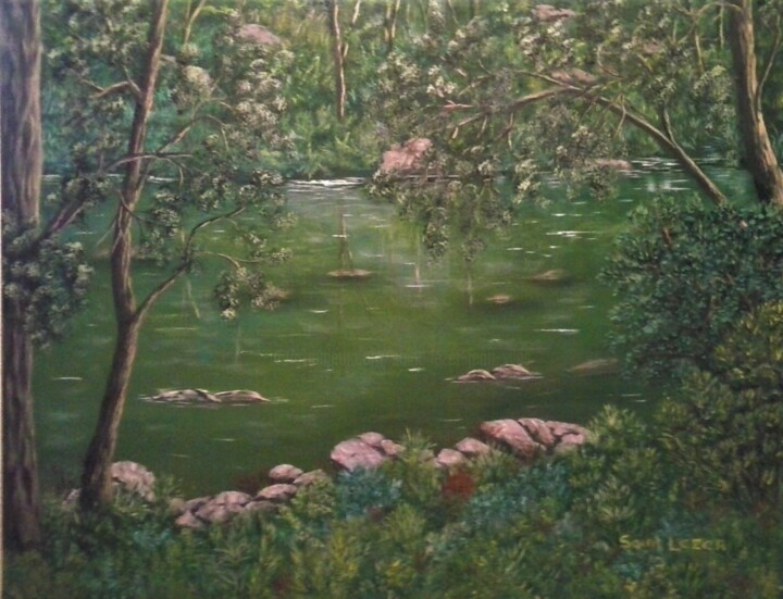 Pittura intitolato "au bord de la rivie…" da Jean-Yves Saint Lezer, Opera d'arte originale, Olio
