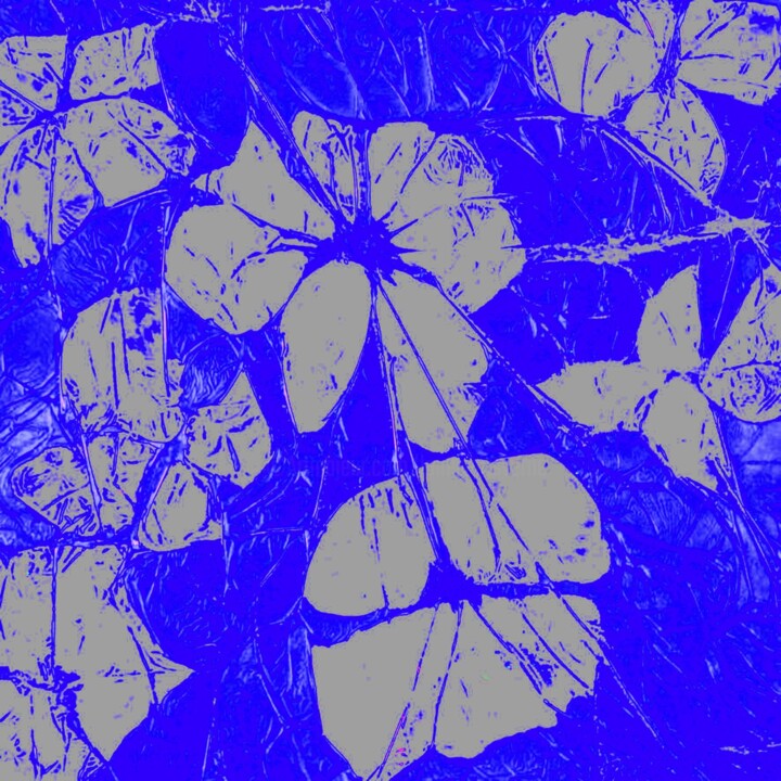 Digital Arts titled "fleurs - 4" by Jean-Yves Verne, Original Artwork, 2D Digital Work