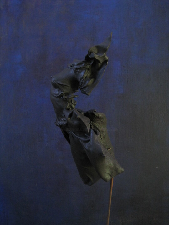 Sculpture titled "sculpture :plastic…" by Jean-Yves Verne, Original Artwork, Plastic