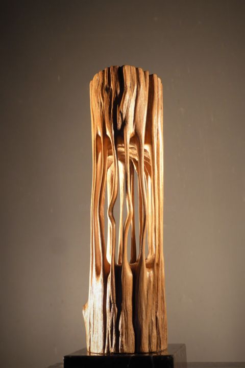 Sculpture titled "Hot-tension 9" by Jean-Charles Ferrand, Original Artwork, Wood