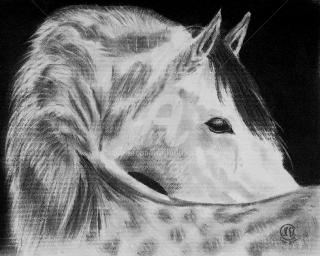 Dessin intitulée "CHEVAL03062011" par Jean Claude Ciutad-Savary, Œuvre d'art originale, Graphite