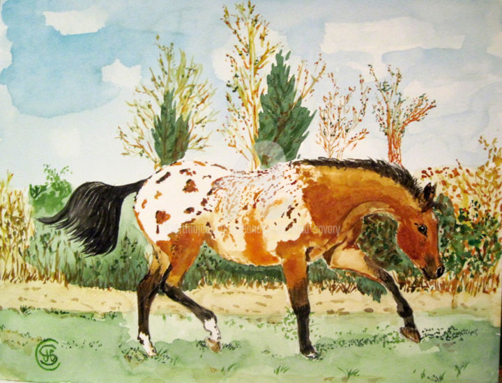 Peinture intitulée "MUSTANG n°317 08/02…" par Jean Claude Ciutad-Savary, Œuvre d'art originale, Aquarelle