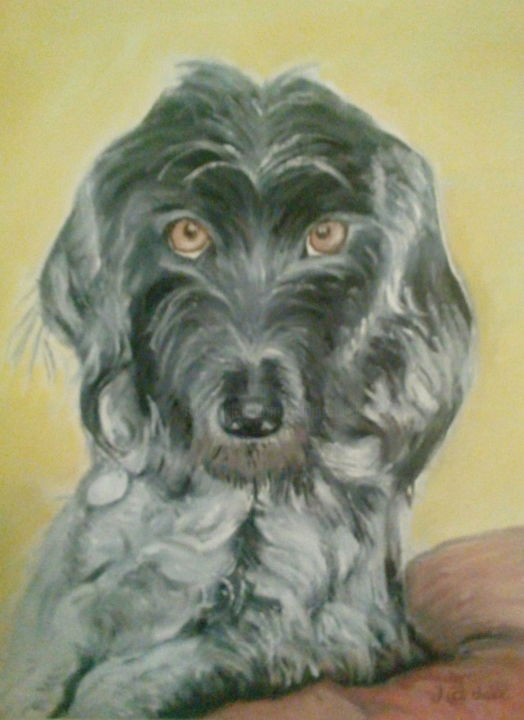 「mon chien」というタイトルの絵画 Jeanine Adellによって, オリジナルのアートワーク, オイル