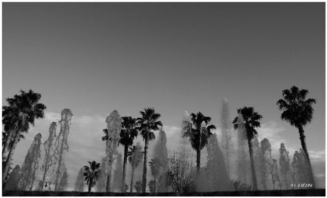 Photographie intitulée "Harmonie" par Jeanjeandenice " Jjdn ", Œuvre d'art originale